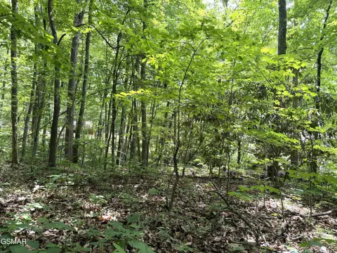 Sevierville Mountain Development Lot