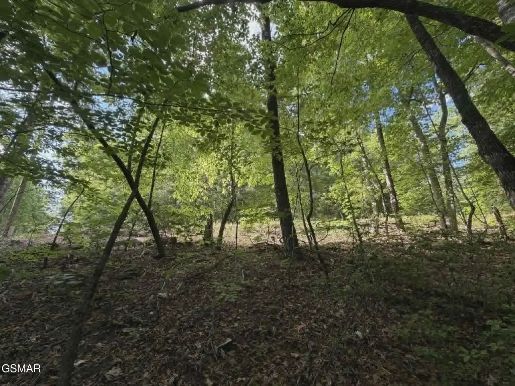Picture 14