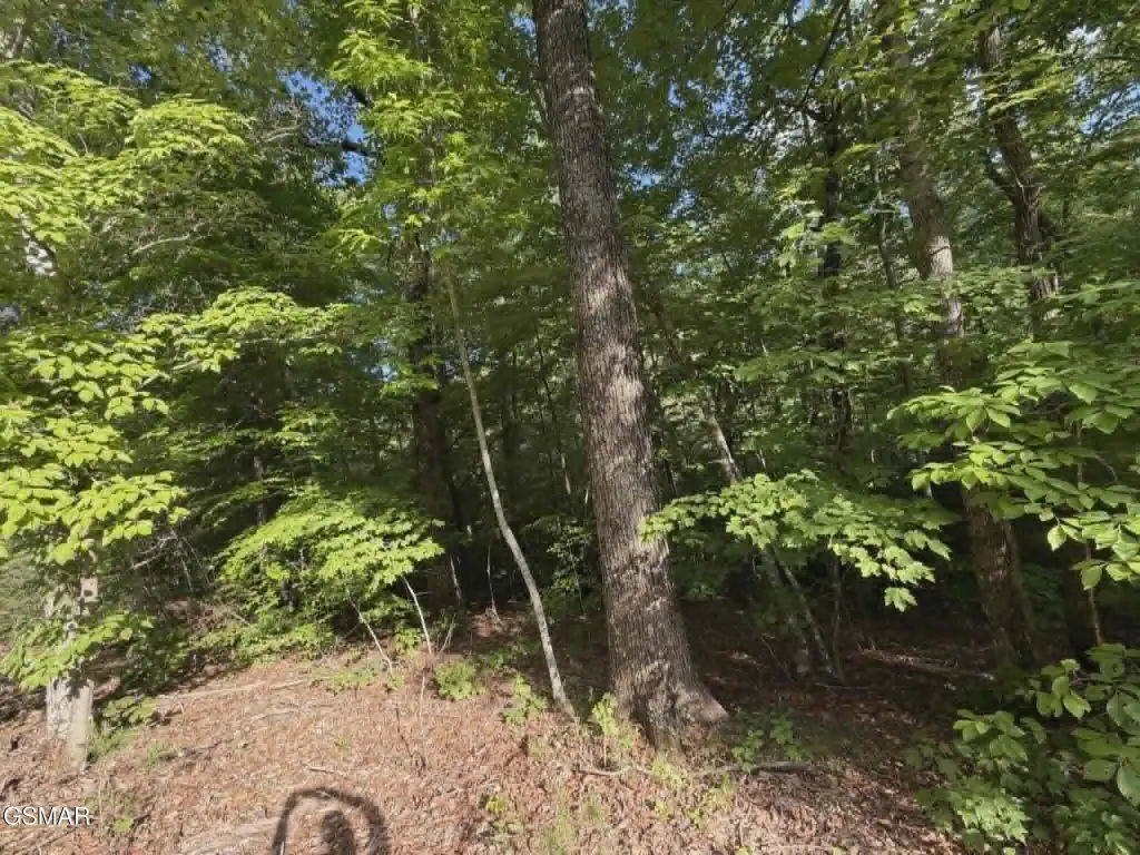 Picture 3