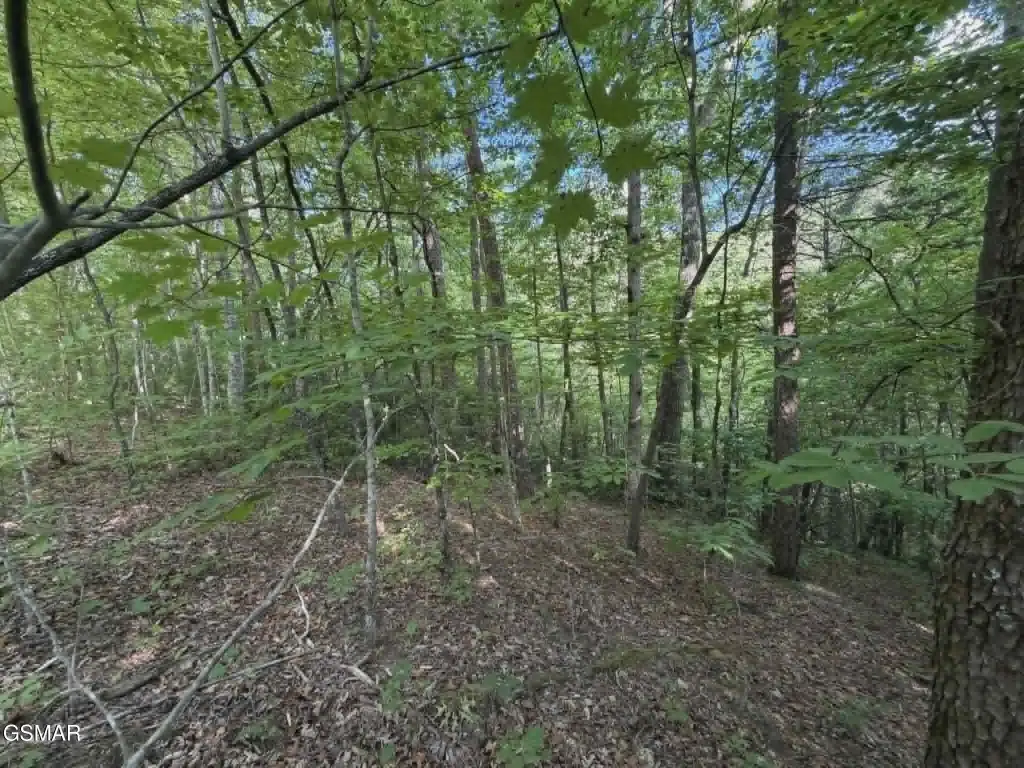 Picture 8
