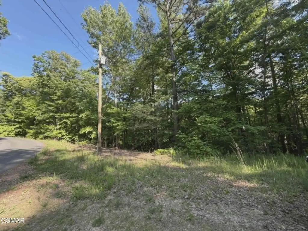 Picture 5