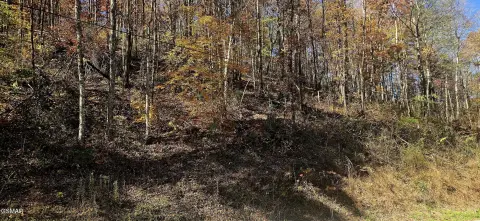 Residential Lot in Gated Mountain Community