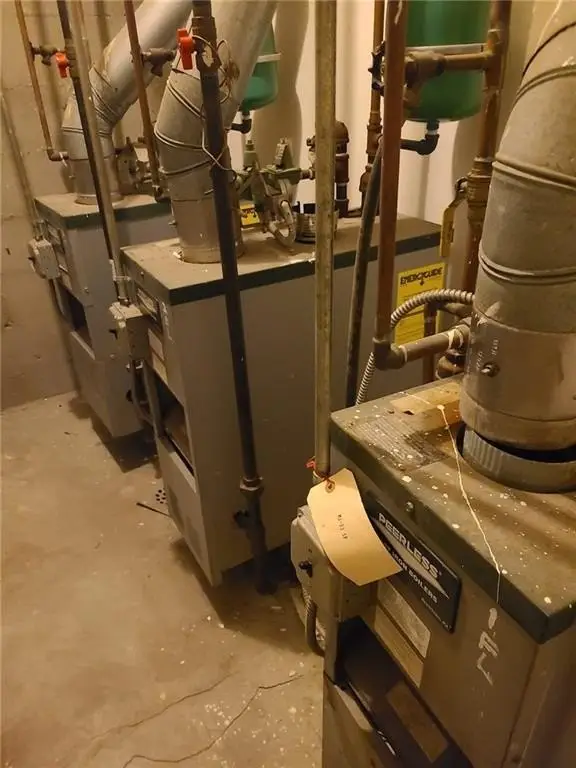 Picture 21