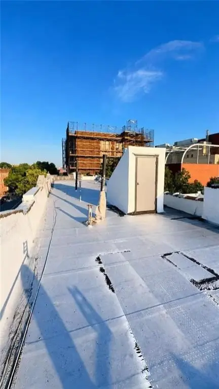 Picture 14