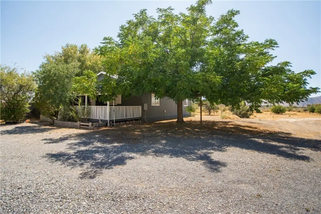 Picture 8
