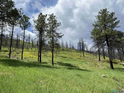 Scenic Mountain Land in Rociada