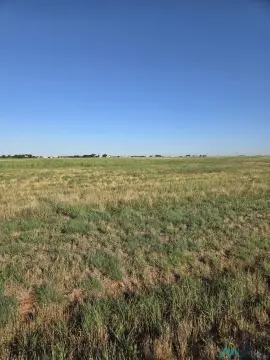 55 Acre Ranch in Clovis