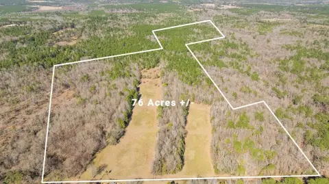 76 Acres Hunting and Recreation Land