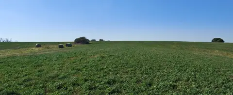 Land in New Virginia, Iowa