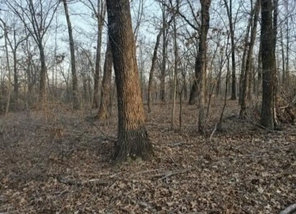 Picture 2