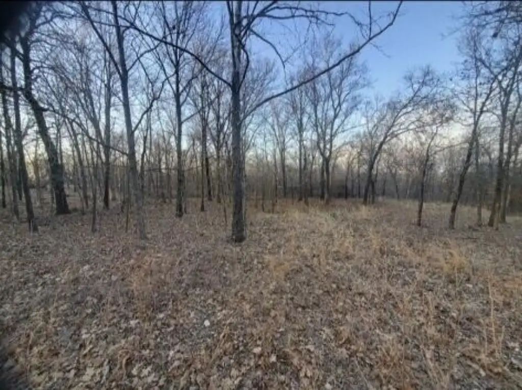 Picture 3