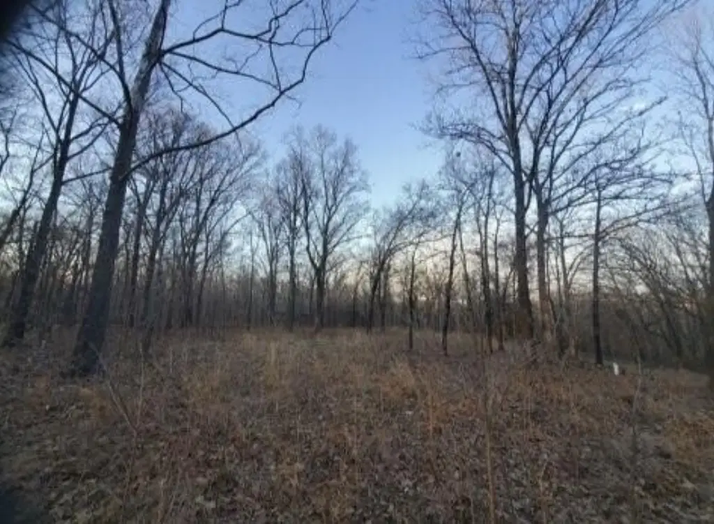 Picture 4