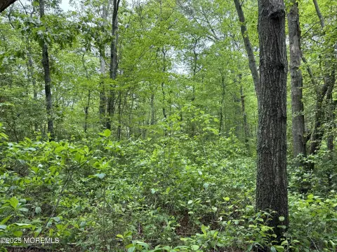 Residential Land in Cape May