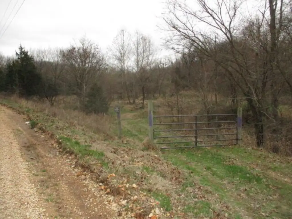 Picture 13