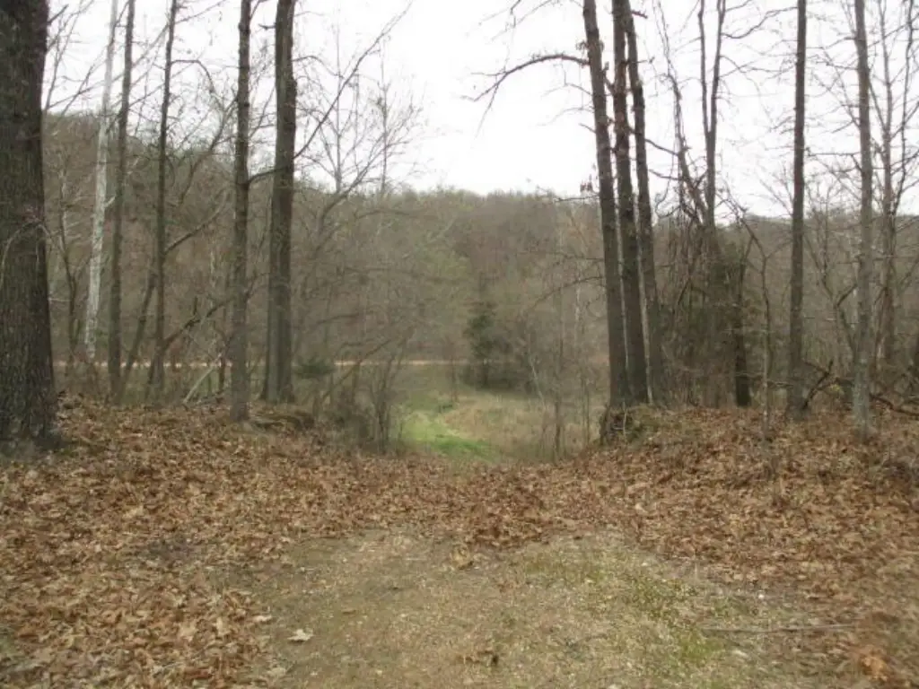 Picture 11