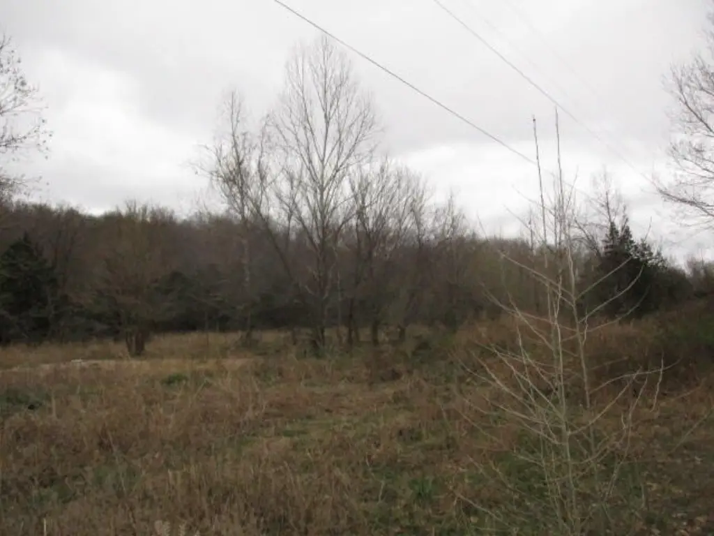 Picture 12