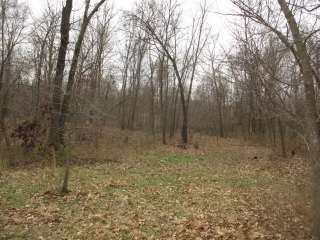 Picture 3