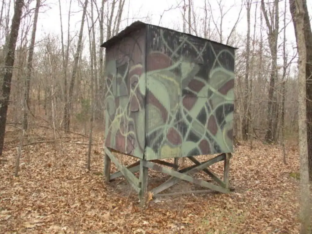 Picture 6