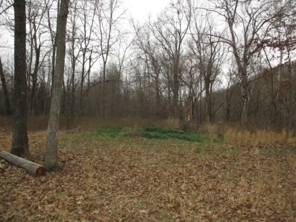 Picture 10