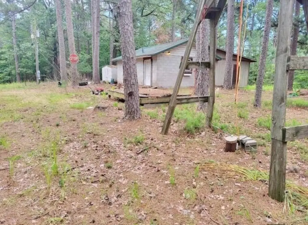 Picture 4