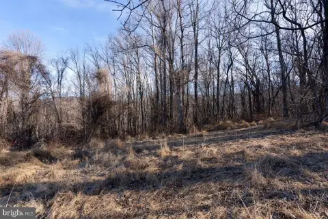 Residential Land Near Shenandoah River