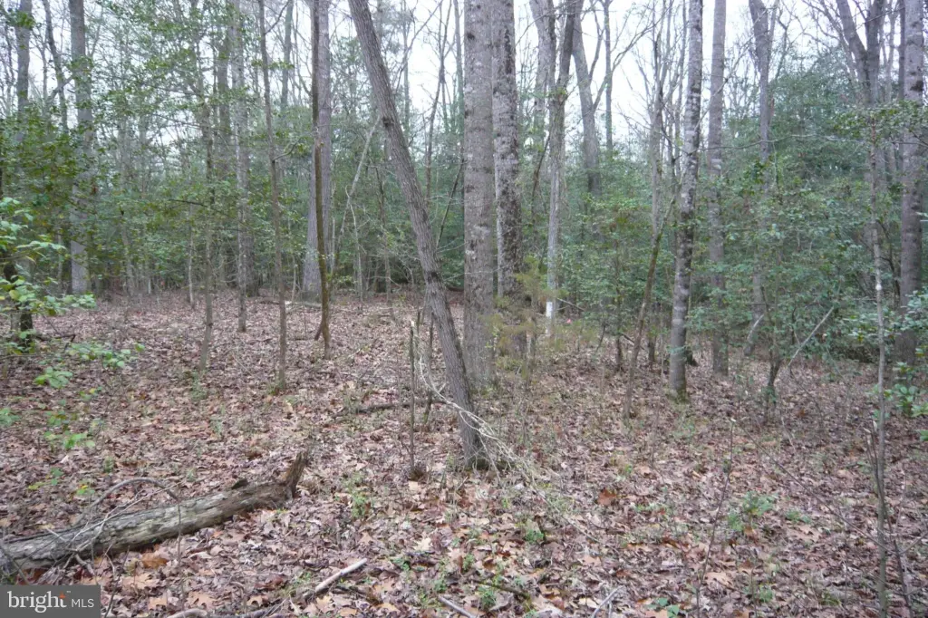 Picture 7