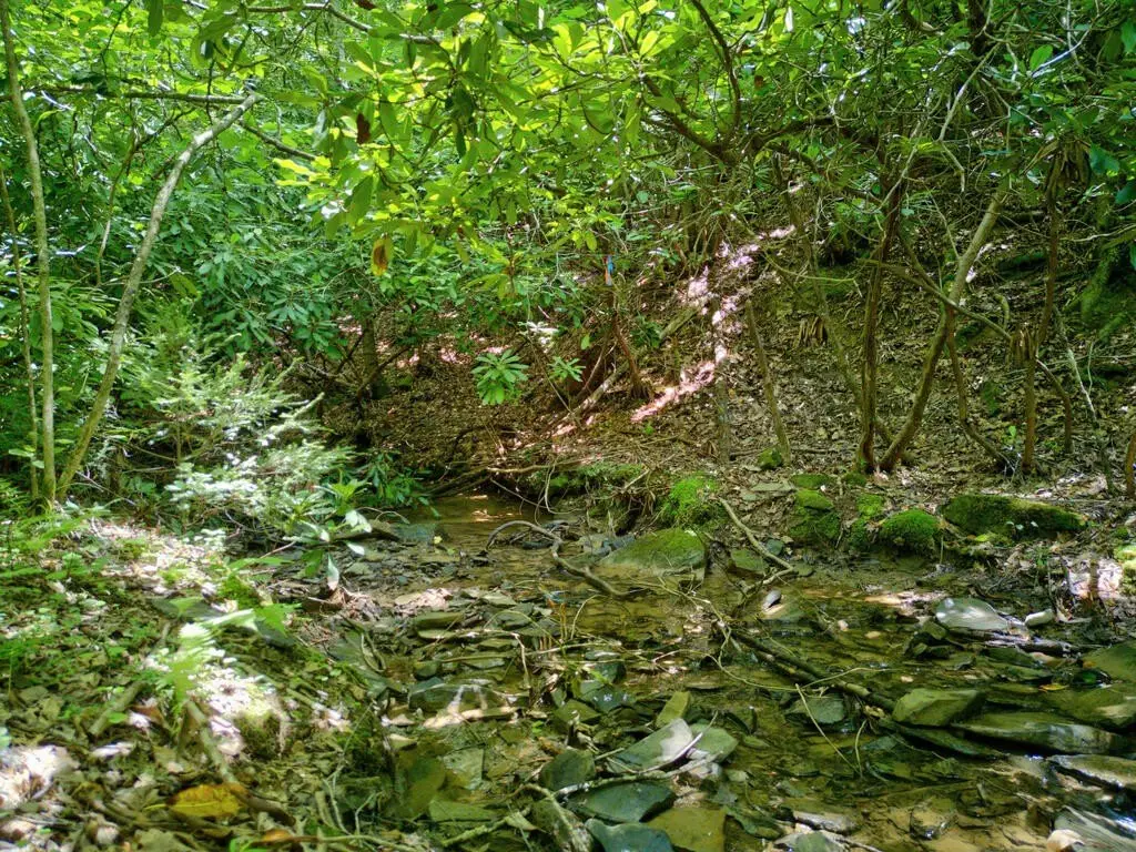 Picture 33