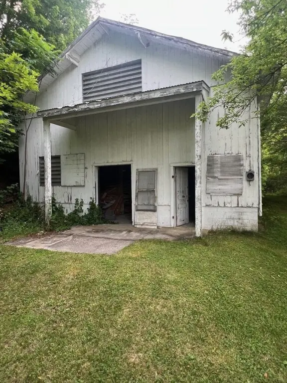 Picture 5