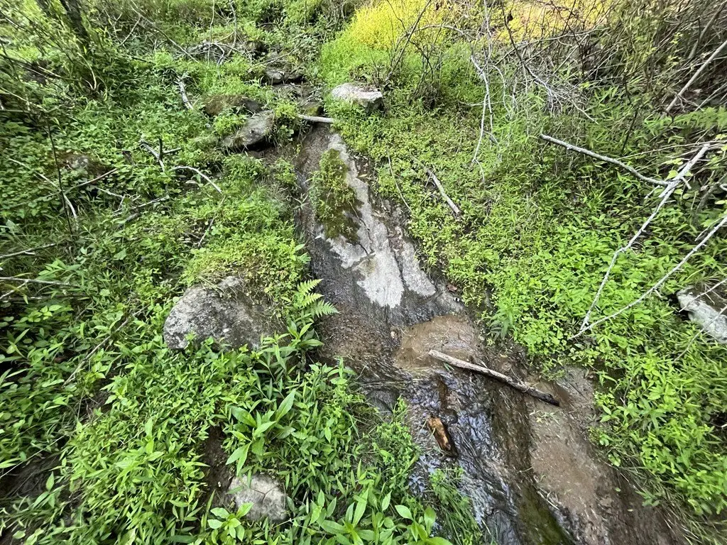 Picture 24