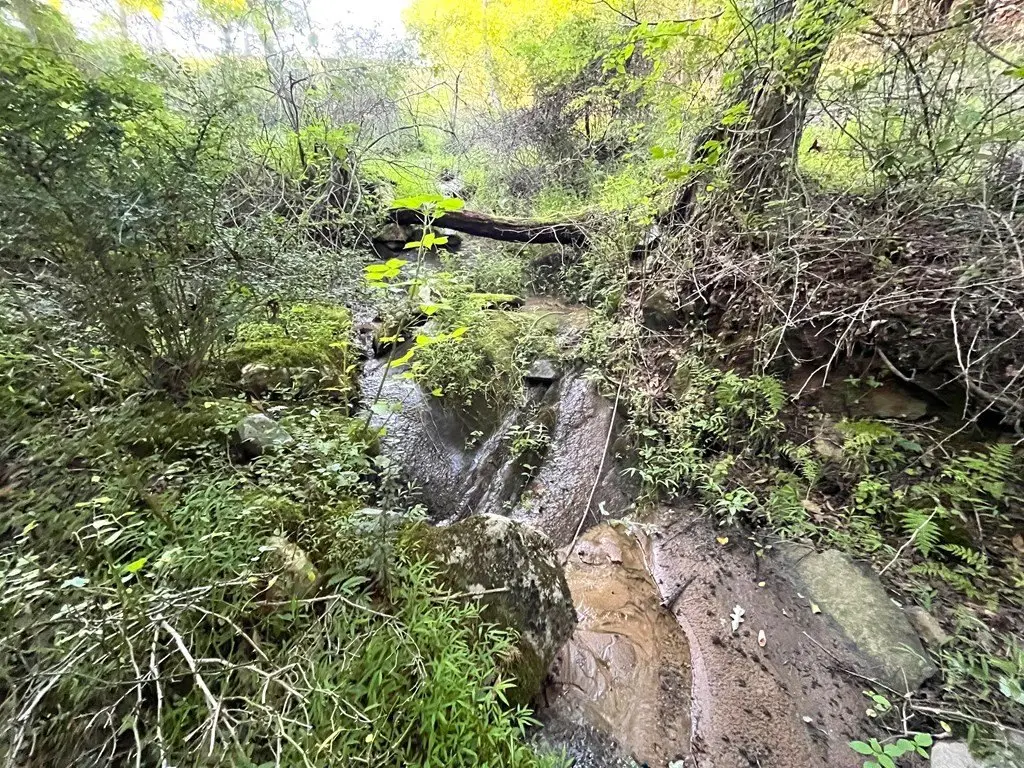 Picture 25