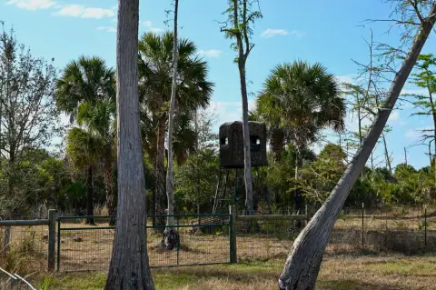 Old Florida Hunting Retreat