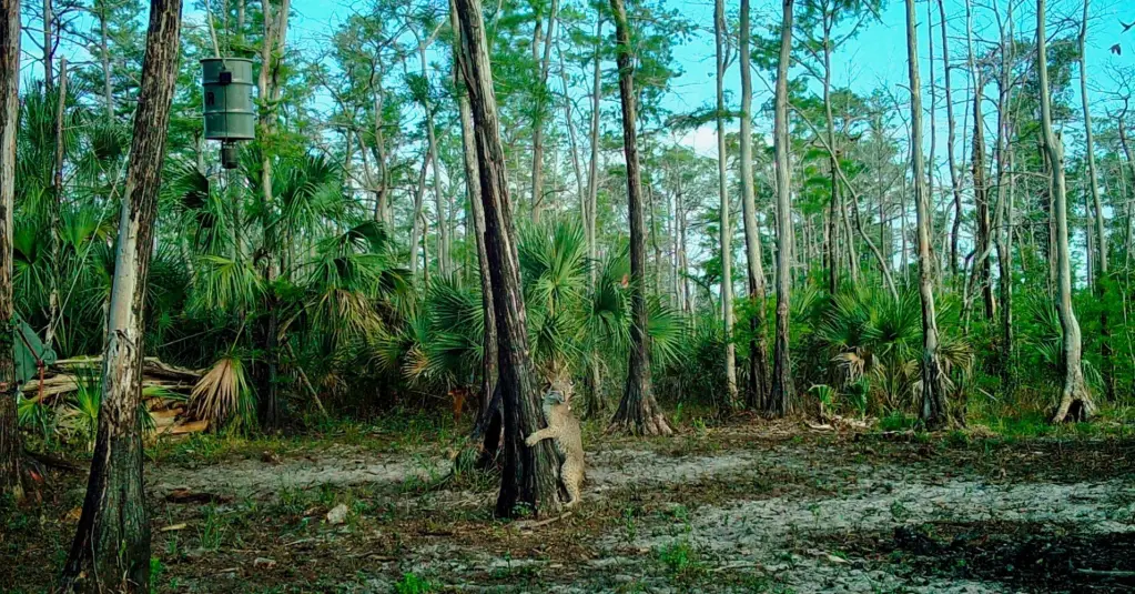 Picture 30
