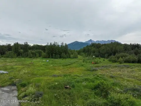 Palmer Land with Highway Frontage
