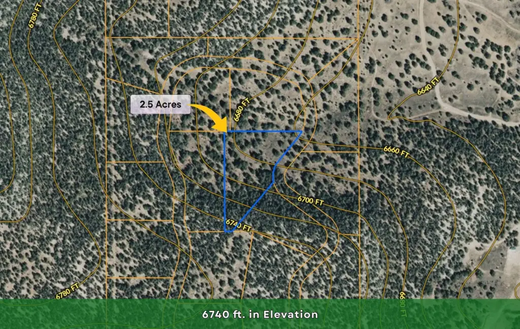 Picture 19
