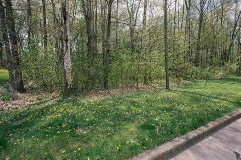 Residential Land in Neillsville, WI