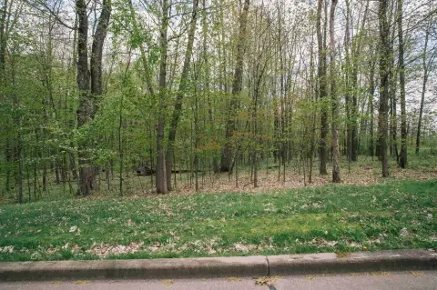 Wooded Lot in Boon Subdivision