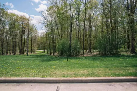 Residential Land in Neillsville, WI
