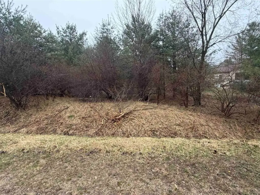 Picture 3
