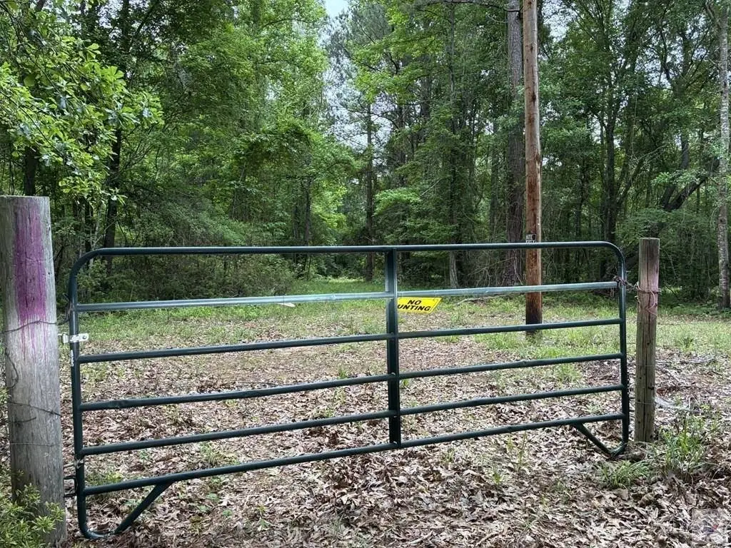 Picture 3
