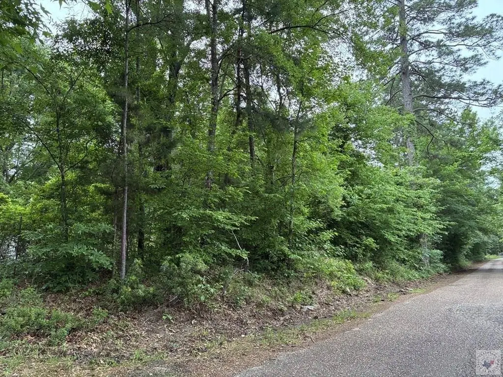 Picture 23