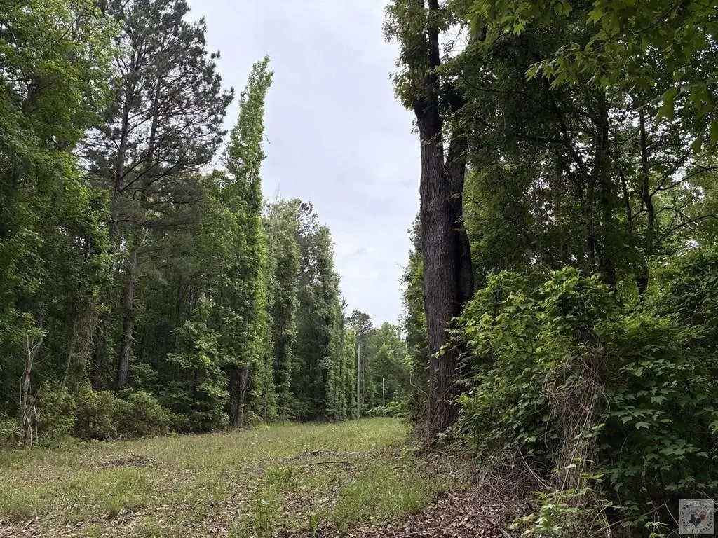 Picture 18