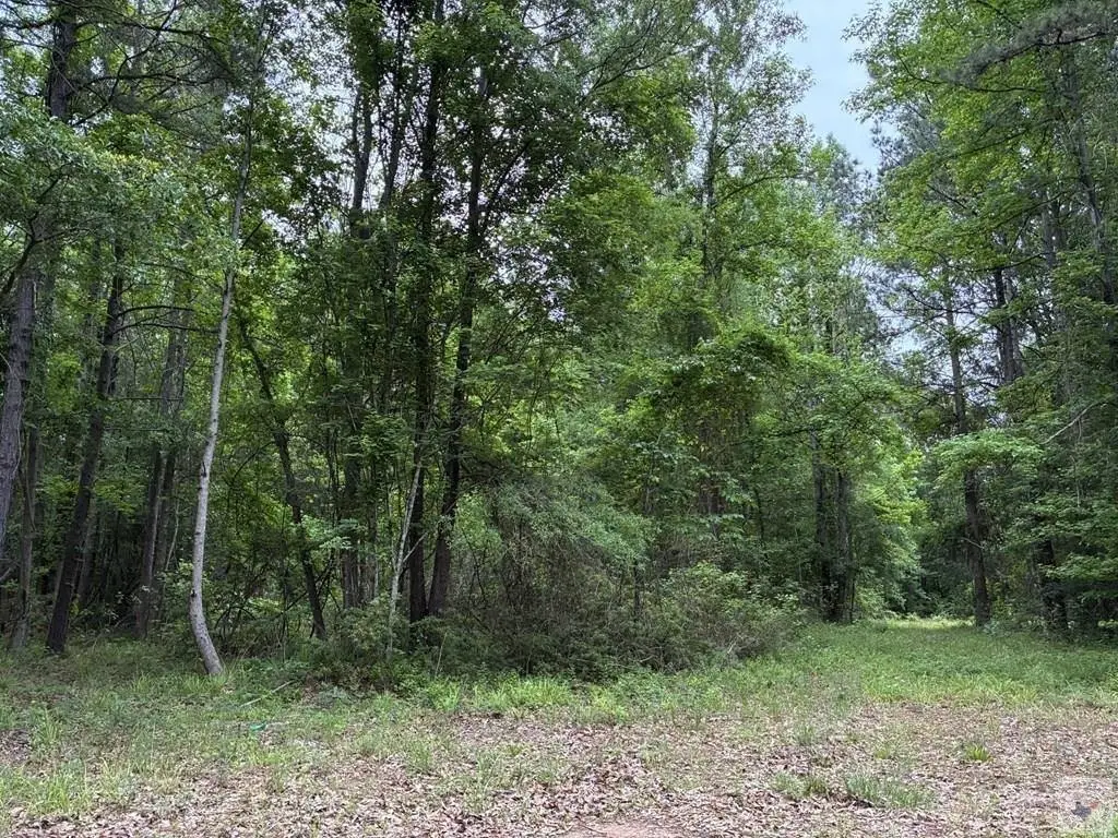 Picture 19