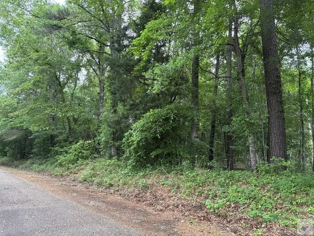 Picture 20