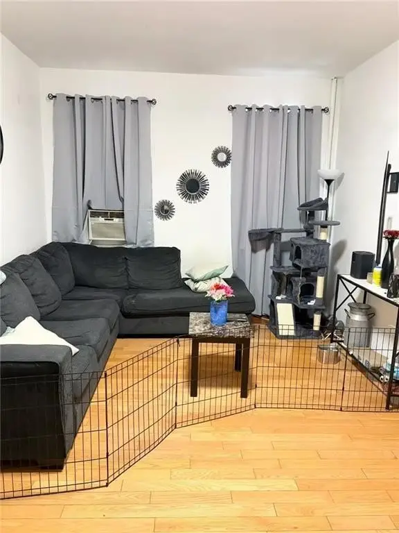 Picture 5