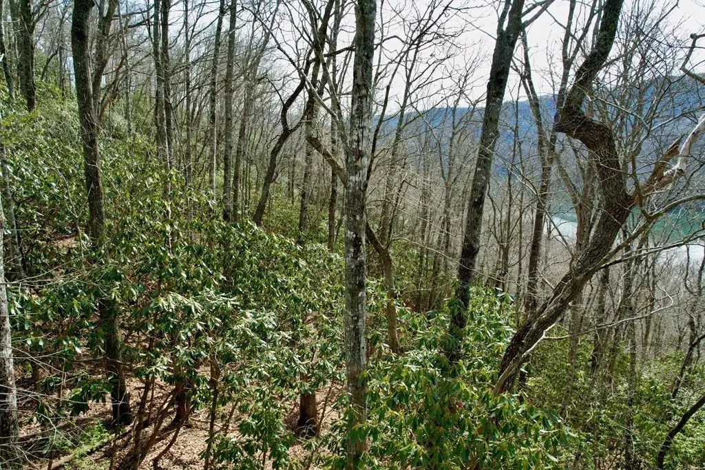Picture 4