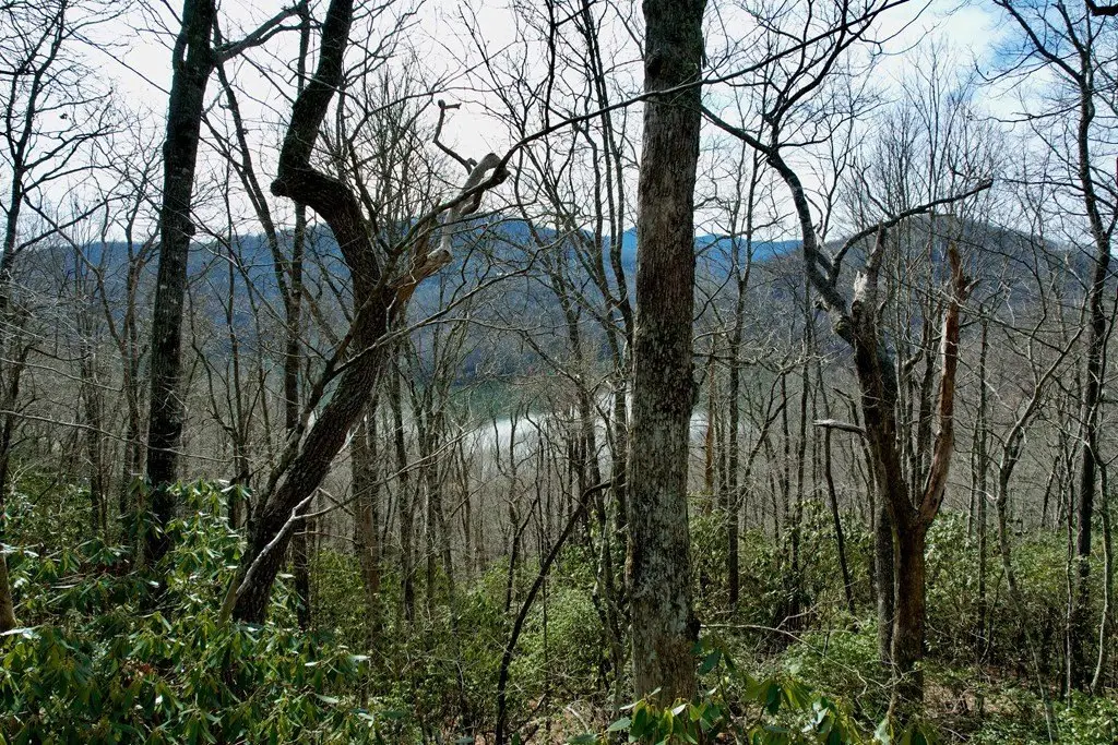 Picture 6