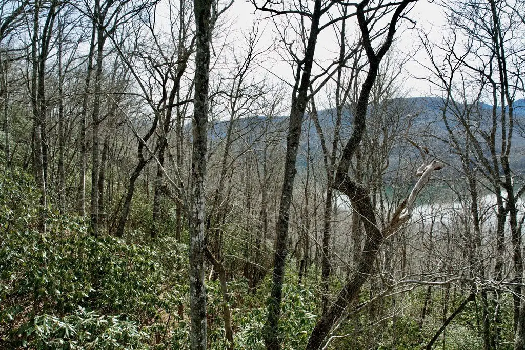 Picture 5