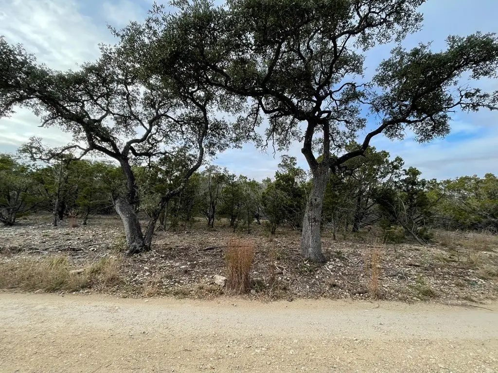 Picture 6