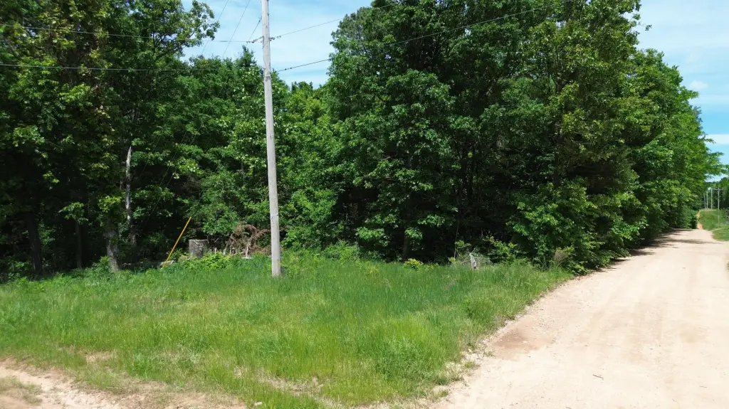 Picture 5