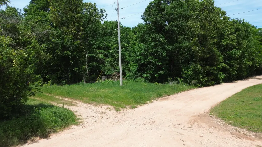 Picture 16